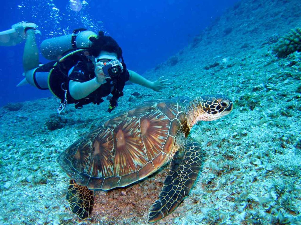 Conservação marinha e mergulho sustentável
